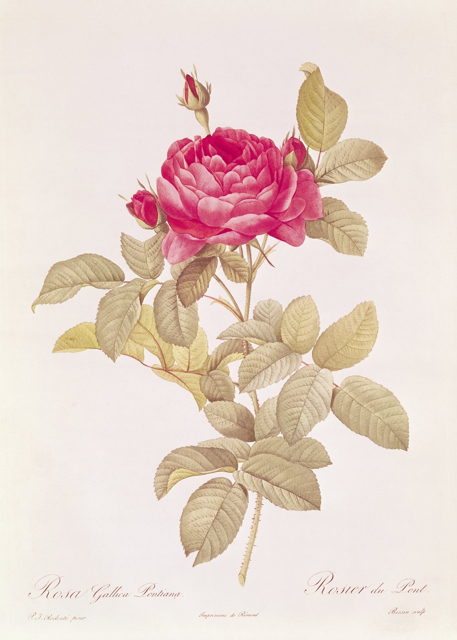 Eustache Hyacinthe Langlois (1777-1837) tarafından oyulmuş Claude Antoine Thory (1757-1827) tarafından 