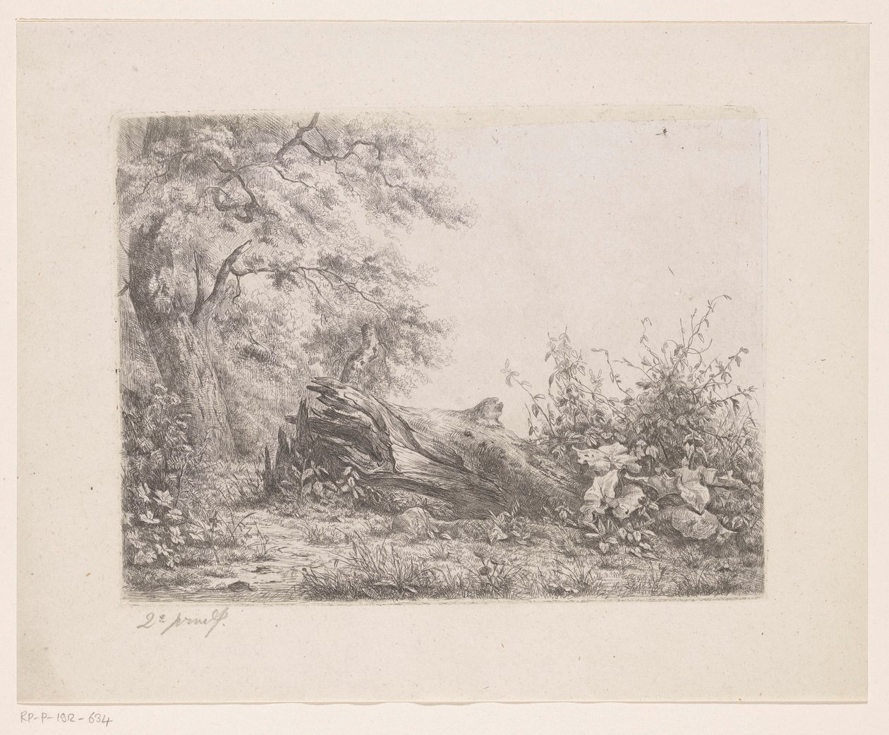 Ormanın kenarına düşen ağaç Beş gravür kanıtı (seri başlığı) by Pierre Louis Dubourcq