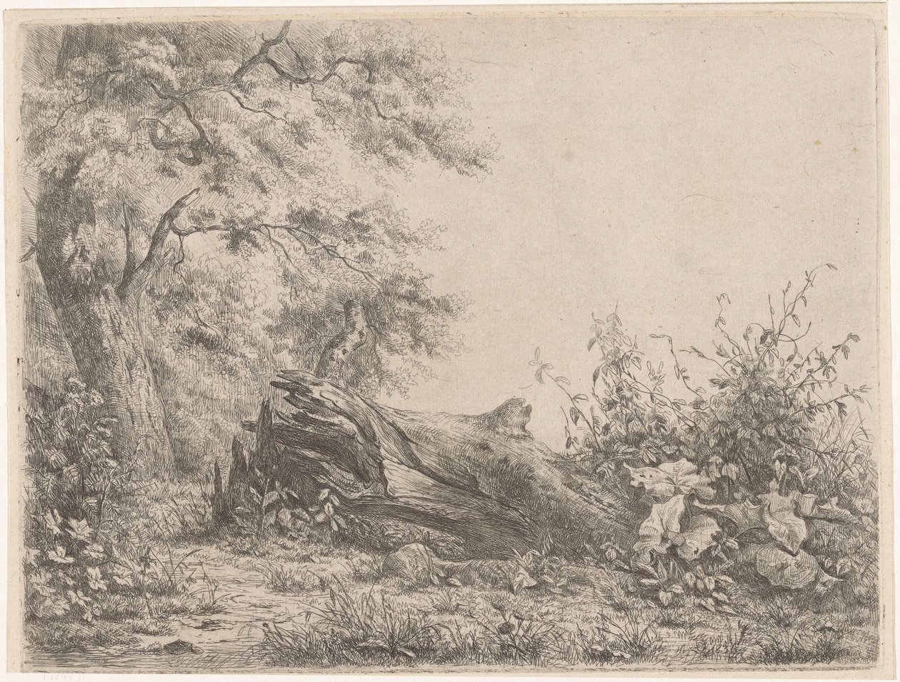 Ormanın kenarına düşen ağaç Beş gravür kanıtı (seri başlığı) by Pierre Louis Dubourcq