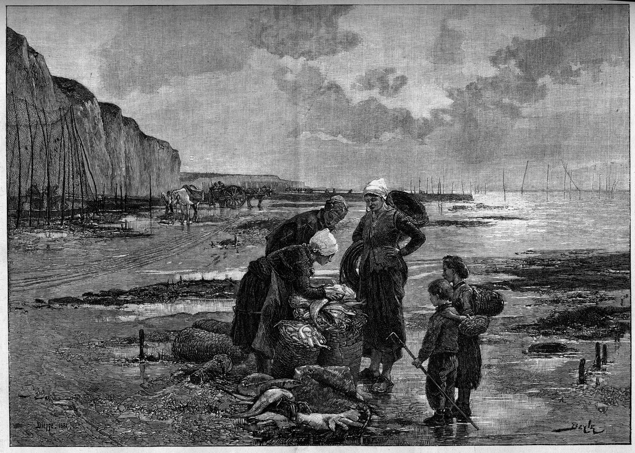 Dieppe balıkçılığı, düşük kısrak. Pierre Beyle