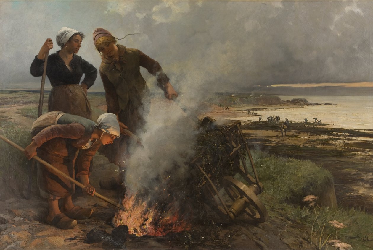 Kelp brülörleri, 1884. by Pierre Marie Beyle