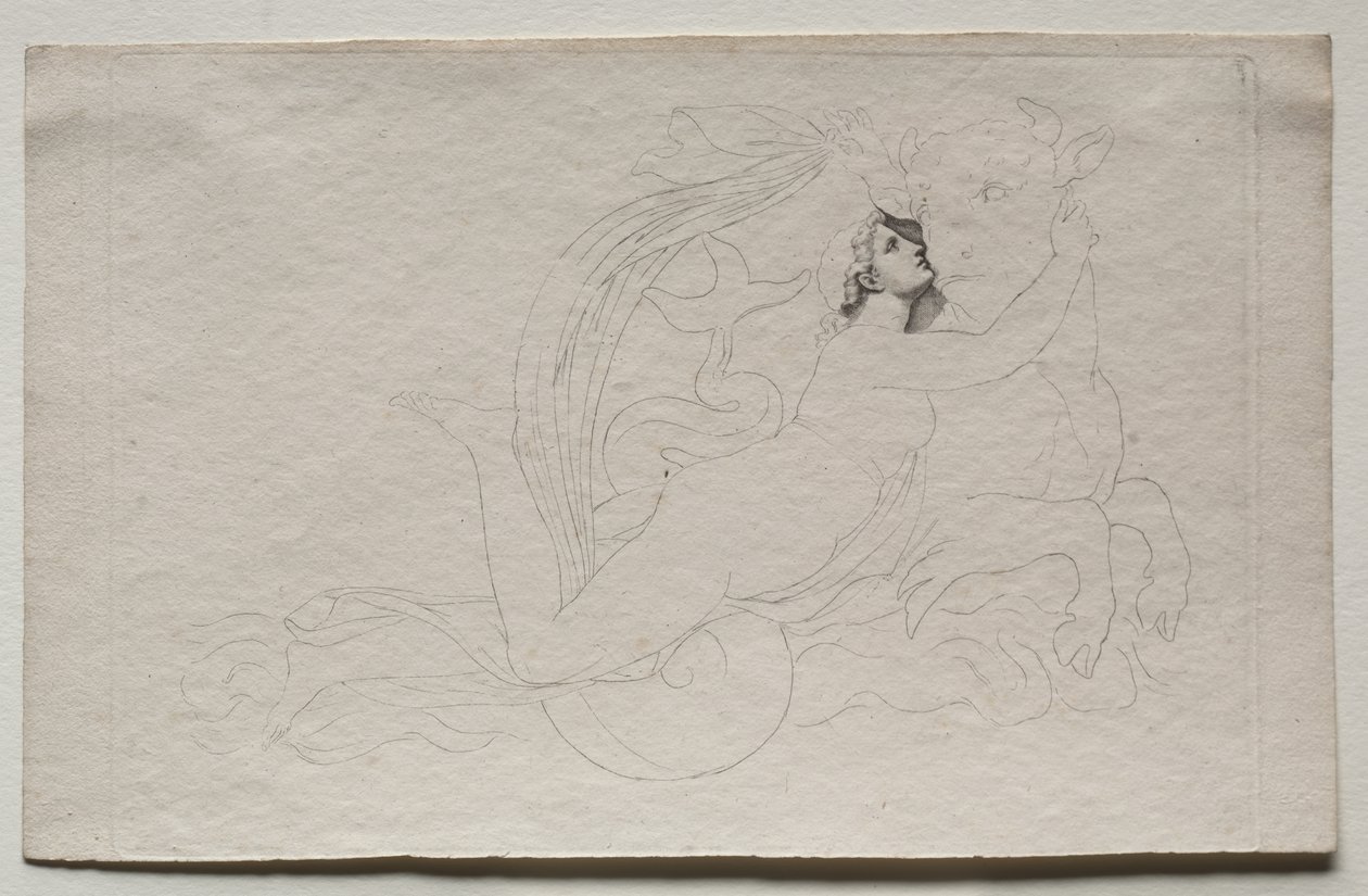 Avrupa'ya tecavüz by Pierre Paul Prud