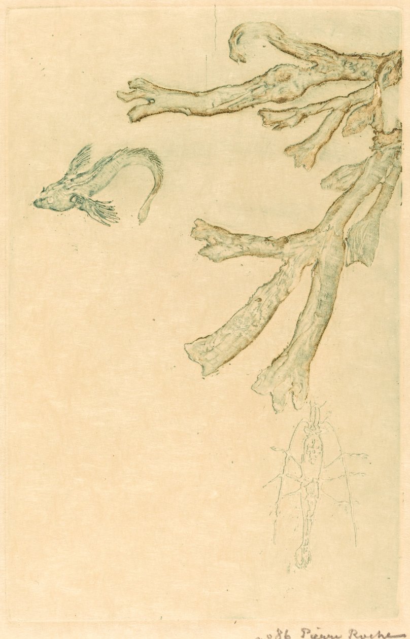 Deniz Yosunu (Algues denizcileri) by Pierre Roche