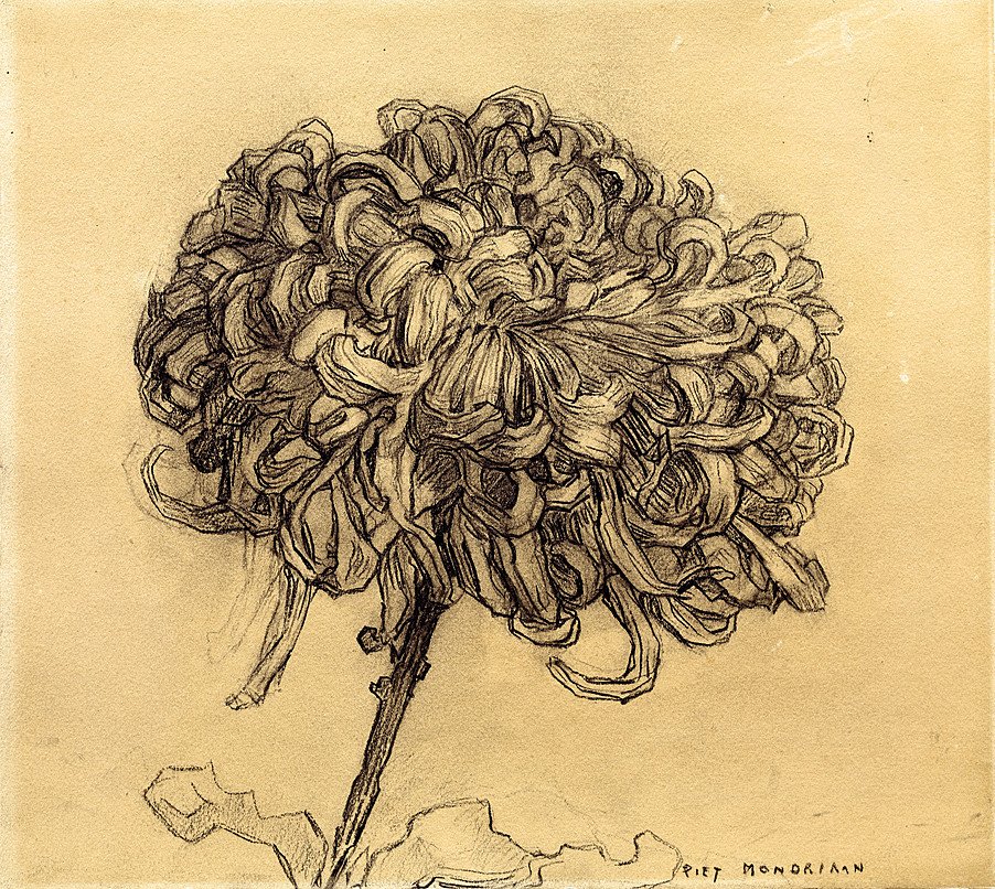 Krizantem by Piet Mondrian