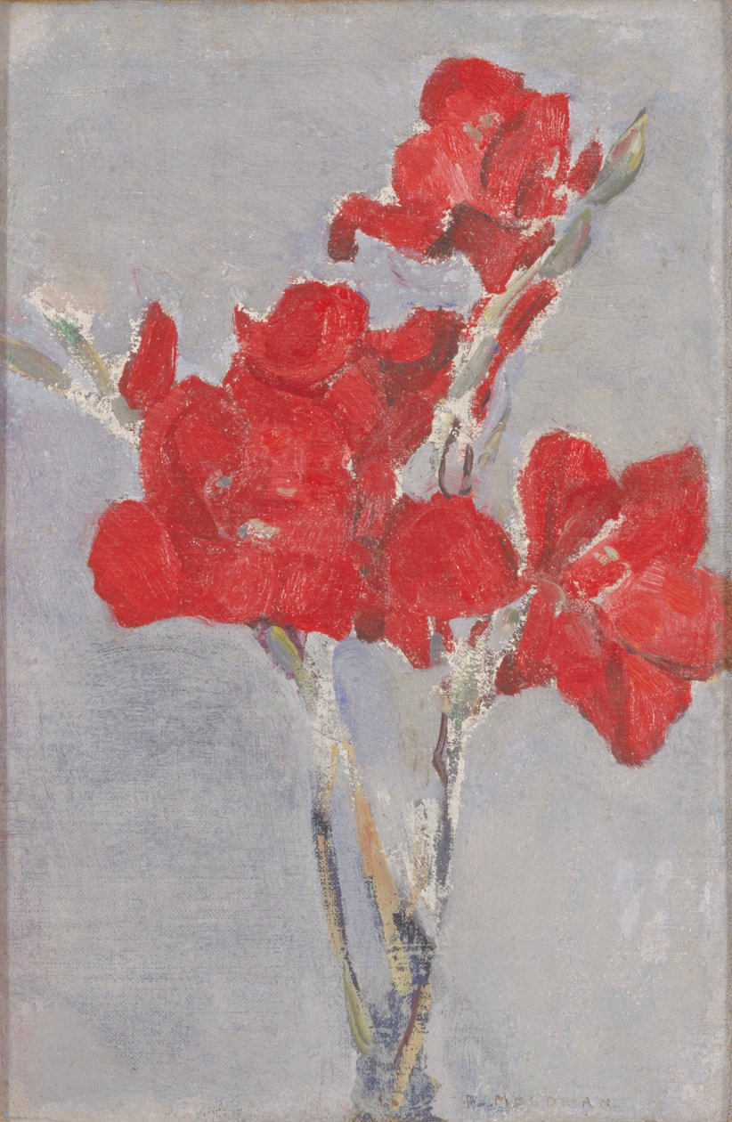 Kırmızı Gladioli, c.1906 by Piet Mondrian