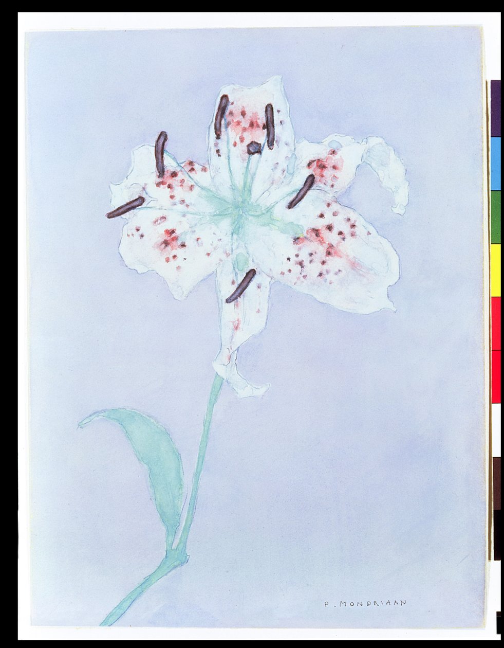 Lily, 1921