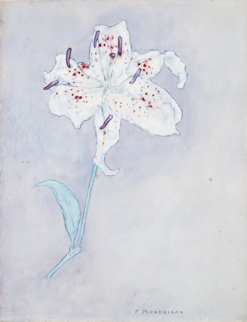 Lily, c.1920-25 (kağıt üzerine sulu boya) by Piet Mondrian