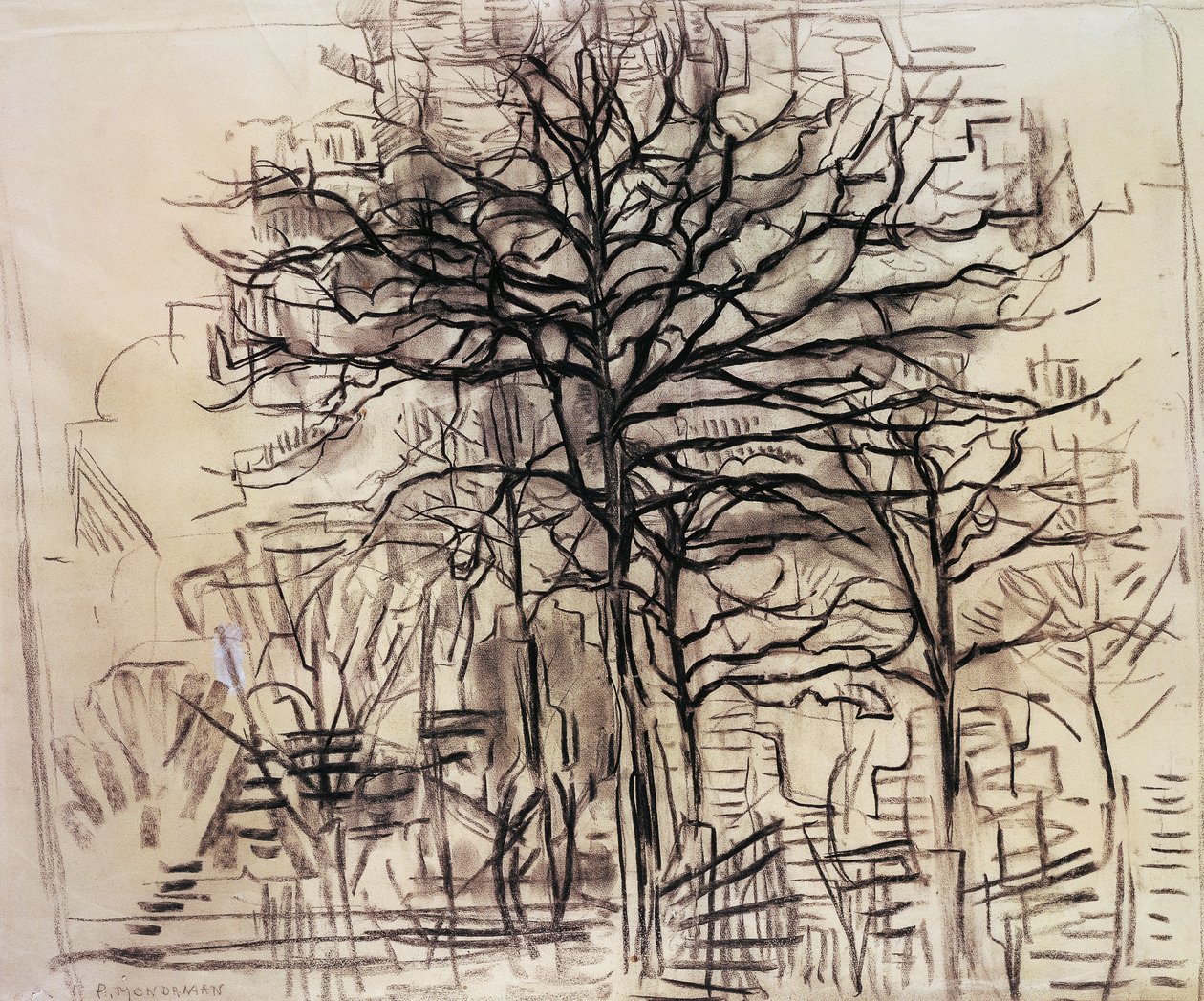 Ağaçların incelenmesi, Piet Mondrian (1872-1944), karakalem ve beyaz kurşun çizimi. Hollanda, 20. yüzyıl. by Piet Mondrian