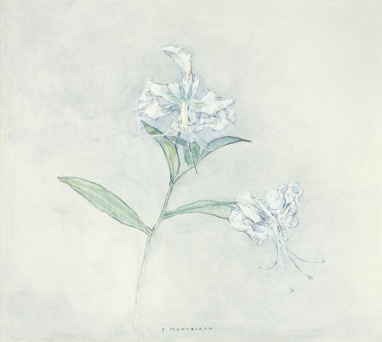 İki Japon Zambak; İki Japon Zambakları by Piet Mondrian