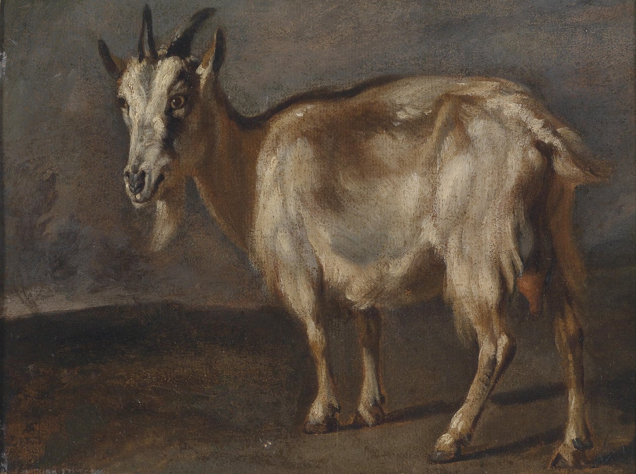 Keçi Çalışması by Pieter or Peter Boel