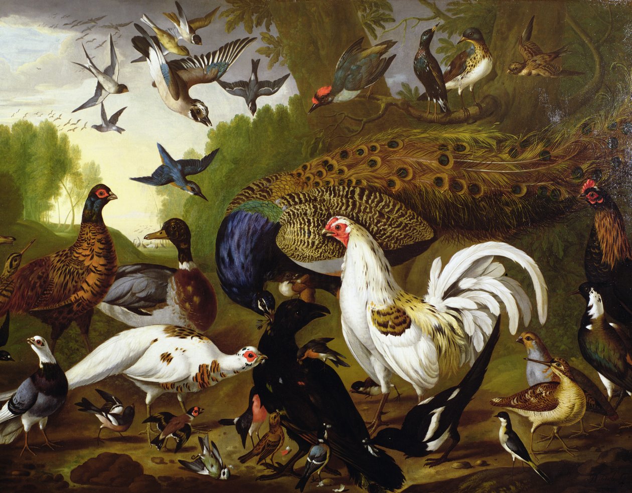 Tavus Kuşu, Horoz, Ağaçkakan, Jay, Woodcock ve Saksağan ile Kuzgun Masalı by Pieter Casteels