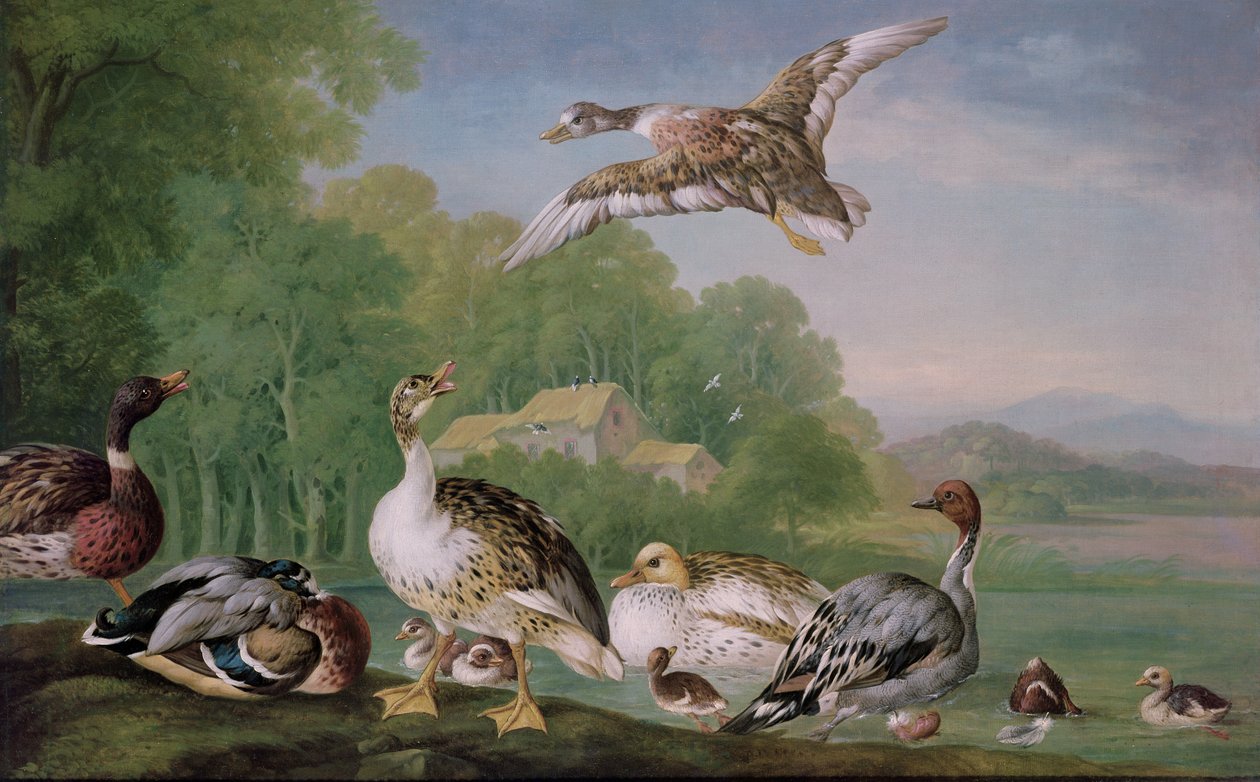 Bilinmeyen resim by Pieter Casteels