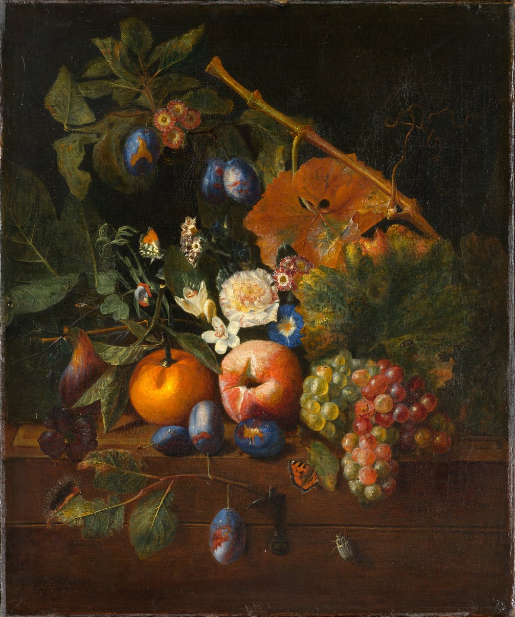 Meyveli Natürmort by Pieter Snyers