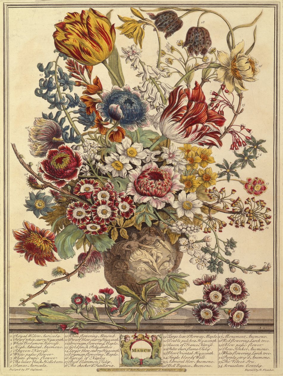 Mart, Robert Furber