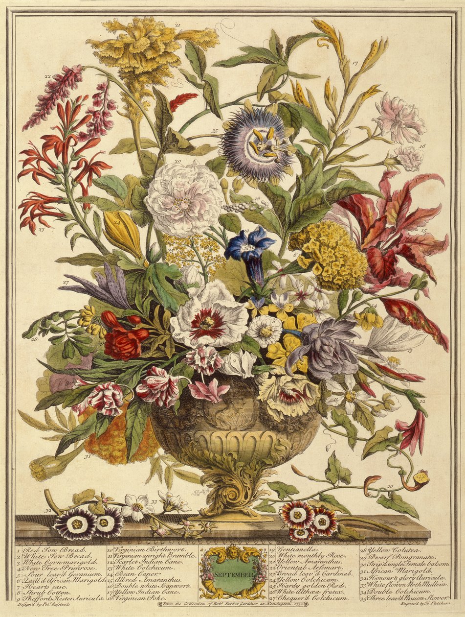 Eylül, Robert Furber