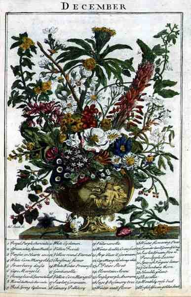 Aralık, Robert Furber