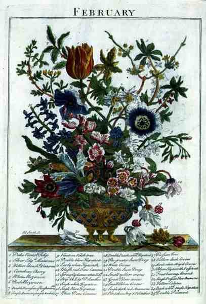 Şubat, Robert Furber (c.1674-1756) tarafından 