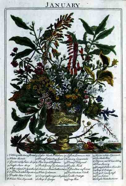 Ocak, Robert Furber (c.1674-1756) tarafından 