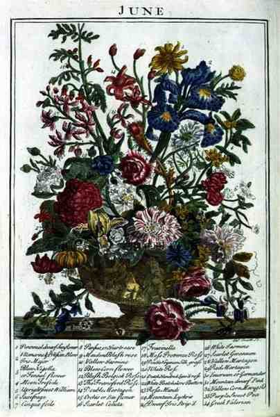 Haziran, Robert Furber (c.1674-1756) tarafından 