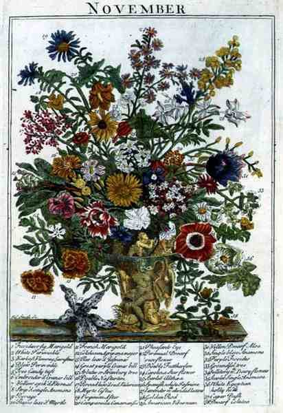Kasım, Robert Furber (c.1674-1756) tarafından 
