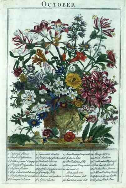 Ekim, Robert Furber (c.1674-1756) tarafından 
