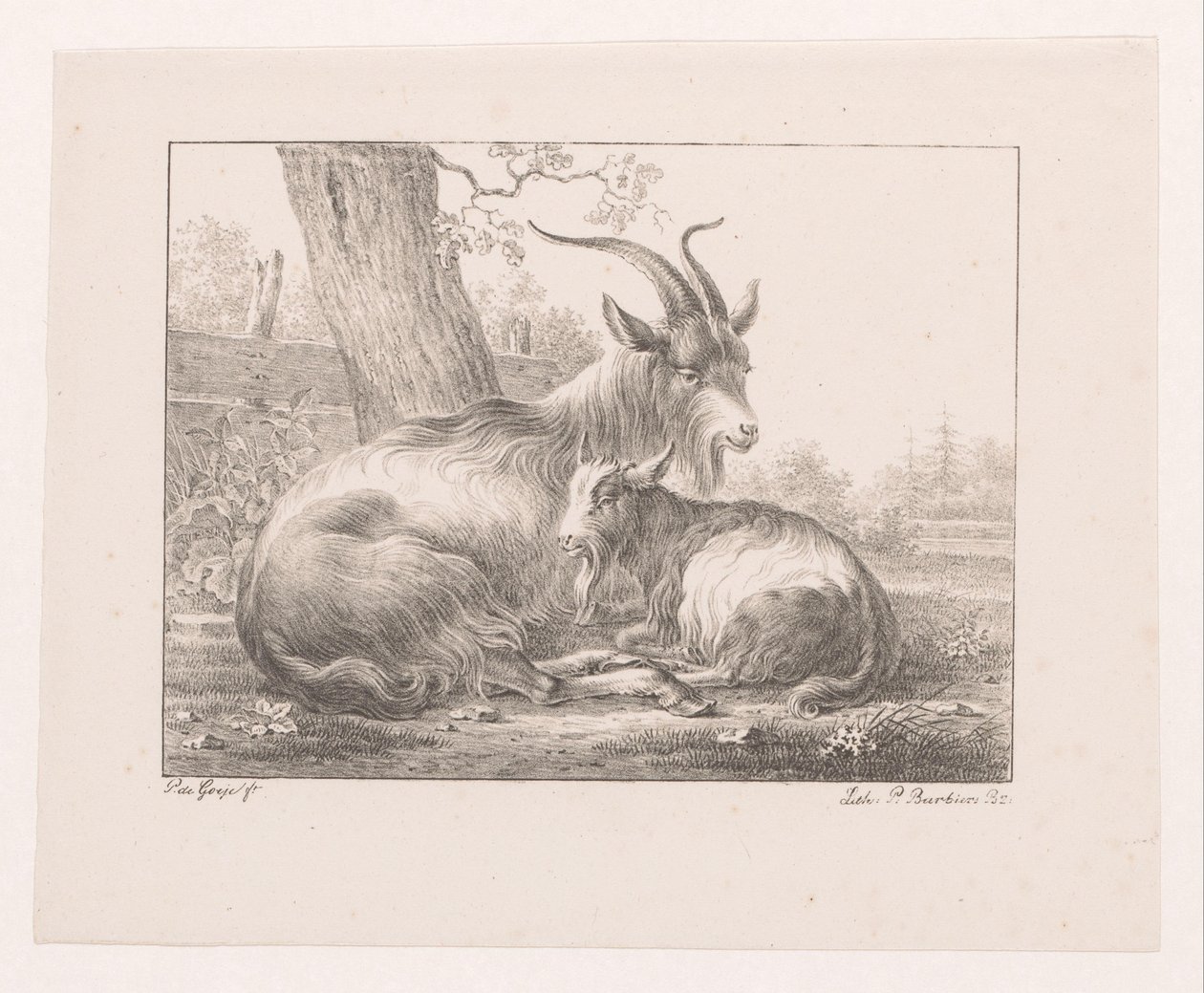 Manzarada keçi ve keçi by Pieter Bartholomeusz. Barbiers