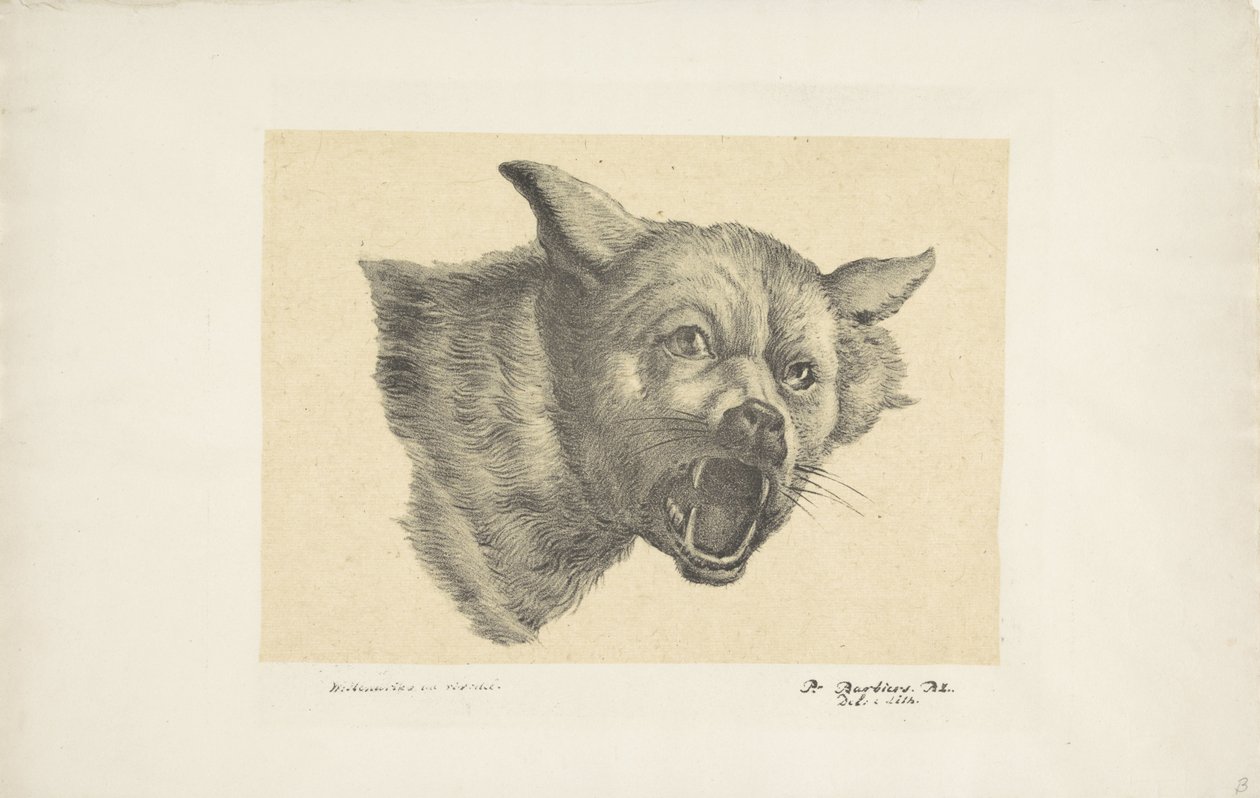 Bir kurt veya köpek başkanı by Pieter Bartholomeusz. Barbiers