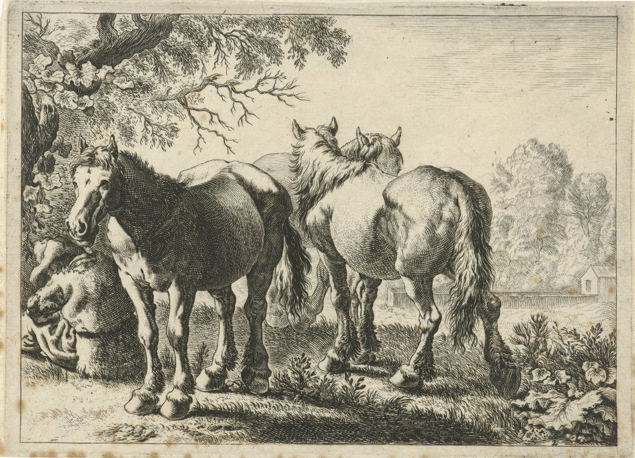 Üç at ve bir çiftçi Farklı hayvanlar (dizi başlığı) by Pieter Bodding van Laer