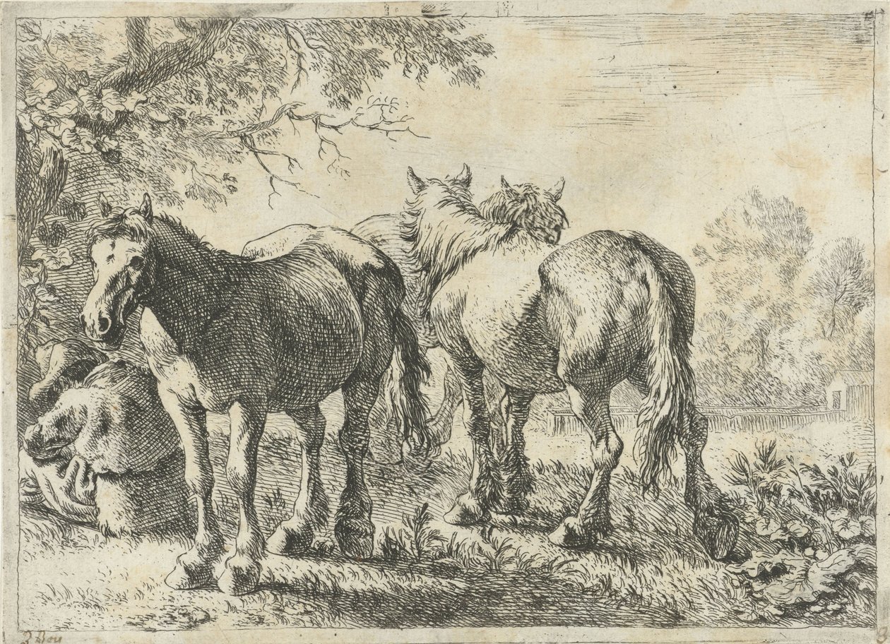 Üç at ve bir çiftçi Farklı hayvanlar (dizi başlığı) by Pieter Bodding van Laer