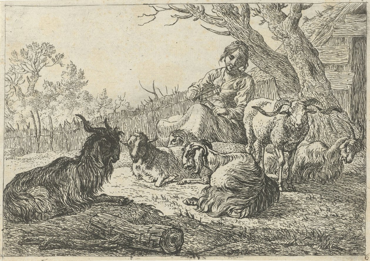 Keçi ve koyunların ortasında çoban kız Farklı hayvanlar (dizi başlığı) by Pieter Bodding van Laer