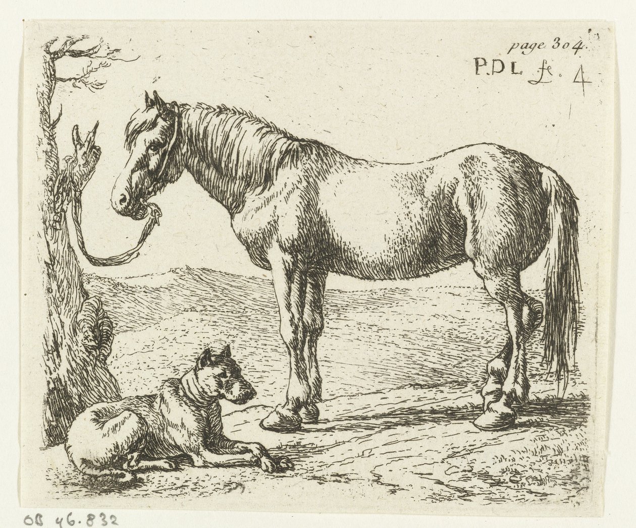 Bir çayırda at ve köpek Atlar (dizi adı) by Pieter Bodding van Laer