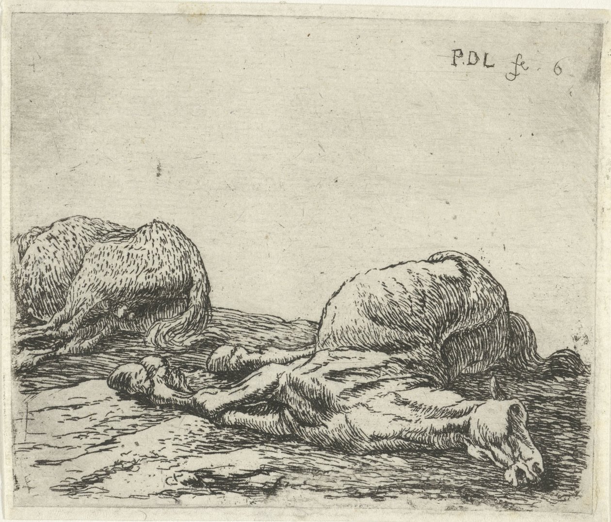 iki ölü at Atlar (dizi adı) by Pieter Bodding van Laer