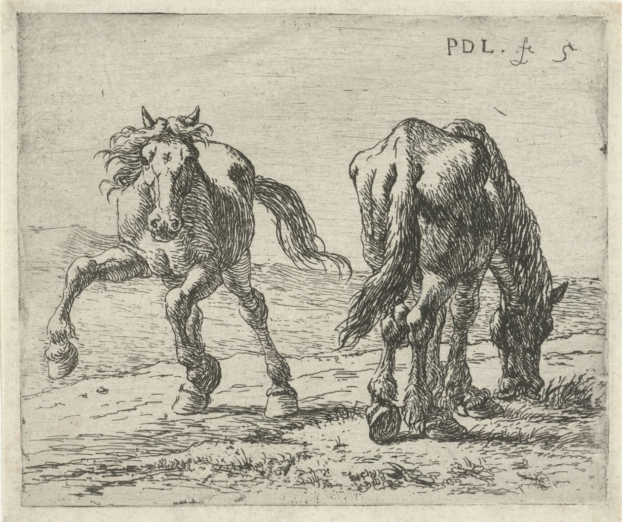 Bir çayırda iki at Atlar (dizi adı) by Pieter Bodding van Laer