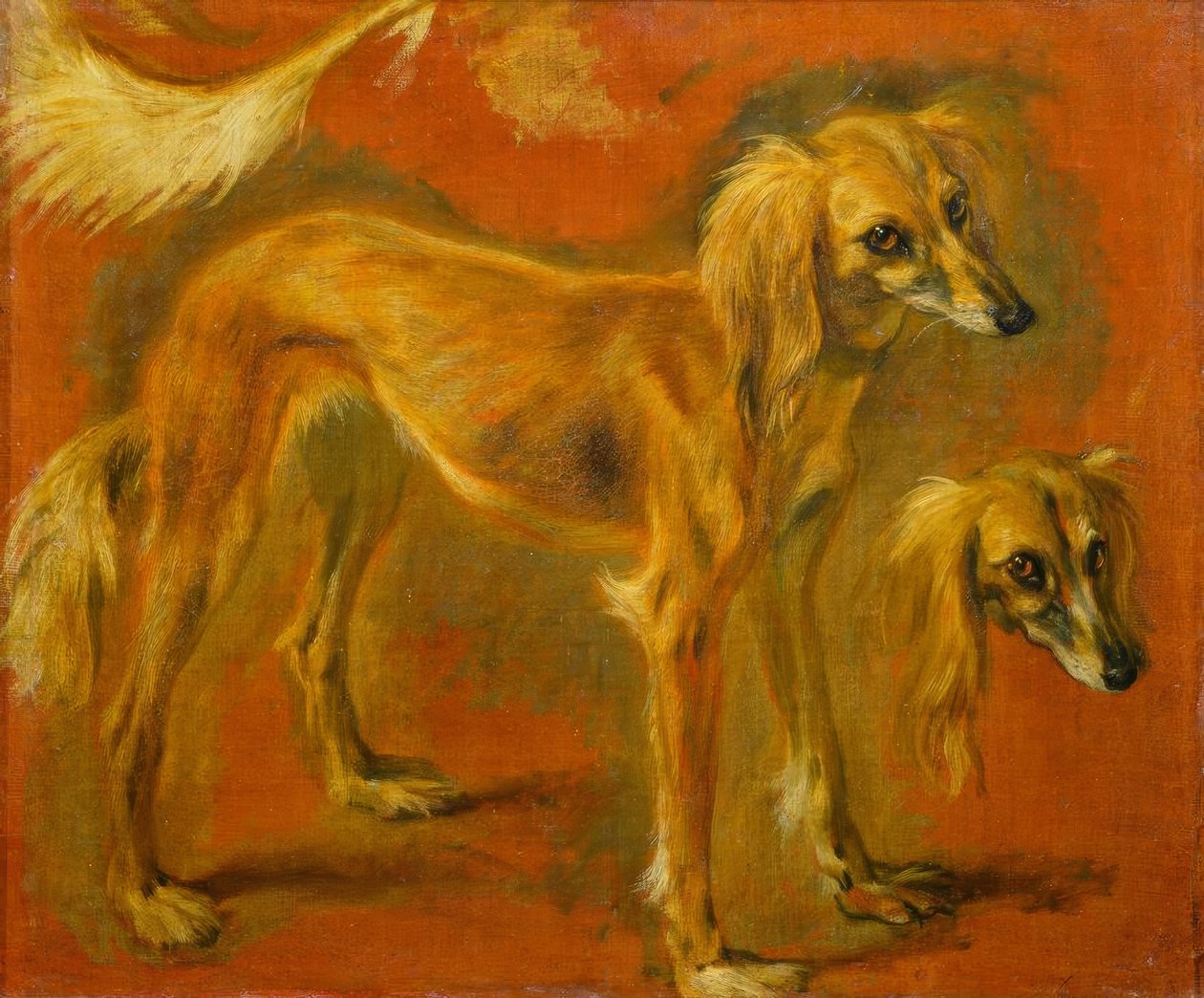 Bir tazı üzerinde iki çalışma by Pieter or Peter Boel