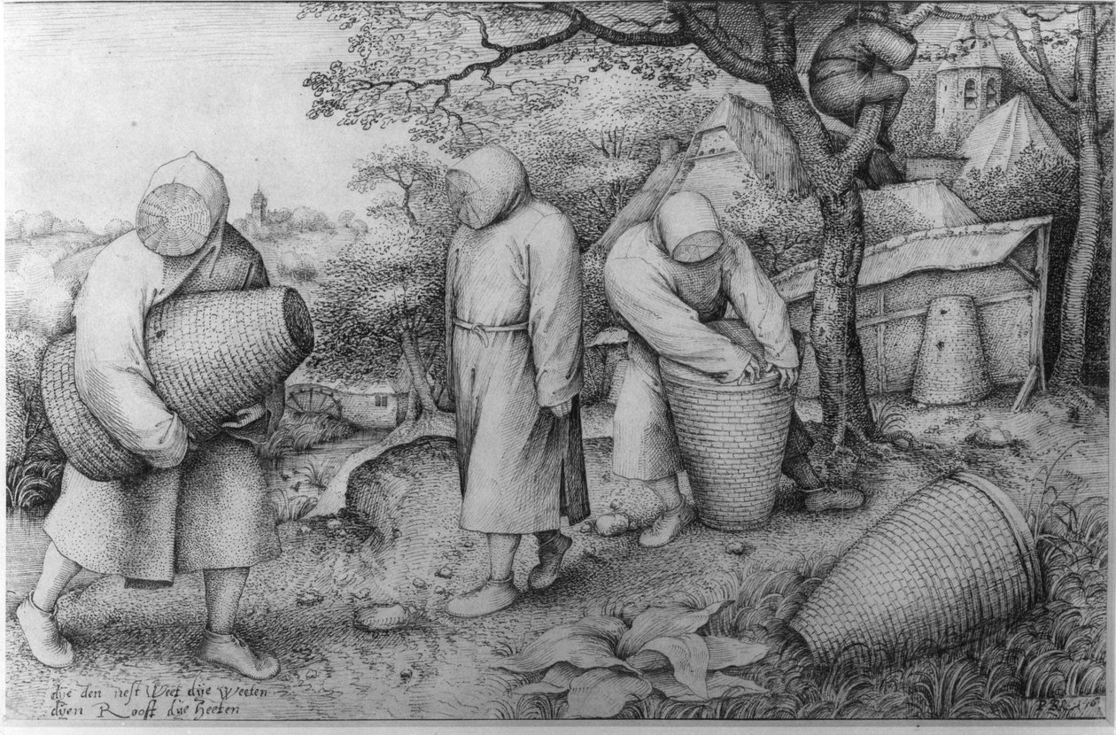 Arıcılar, 'Hazinenin Nerede Olduğunu Biliyorsanız Soyabilirsiniz', c.1567-68 by Pieter Bruegel the Elder