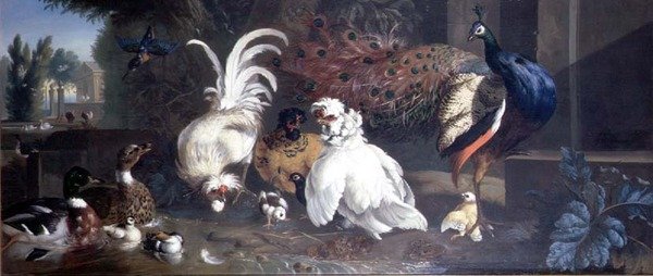 Tavus Kuşu, Tavuklar, Ördekler ve Yalıçapkını by Pieter Casteels