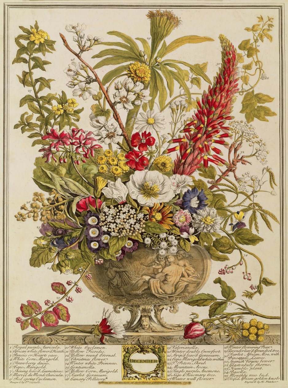 Aralık, Robert Furber