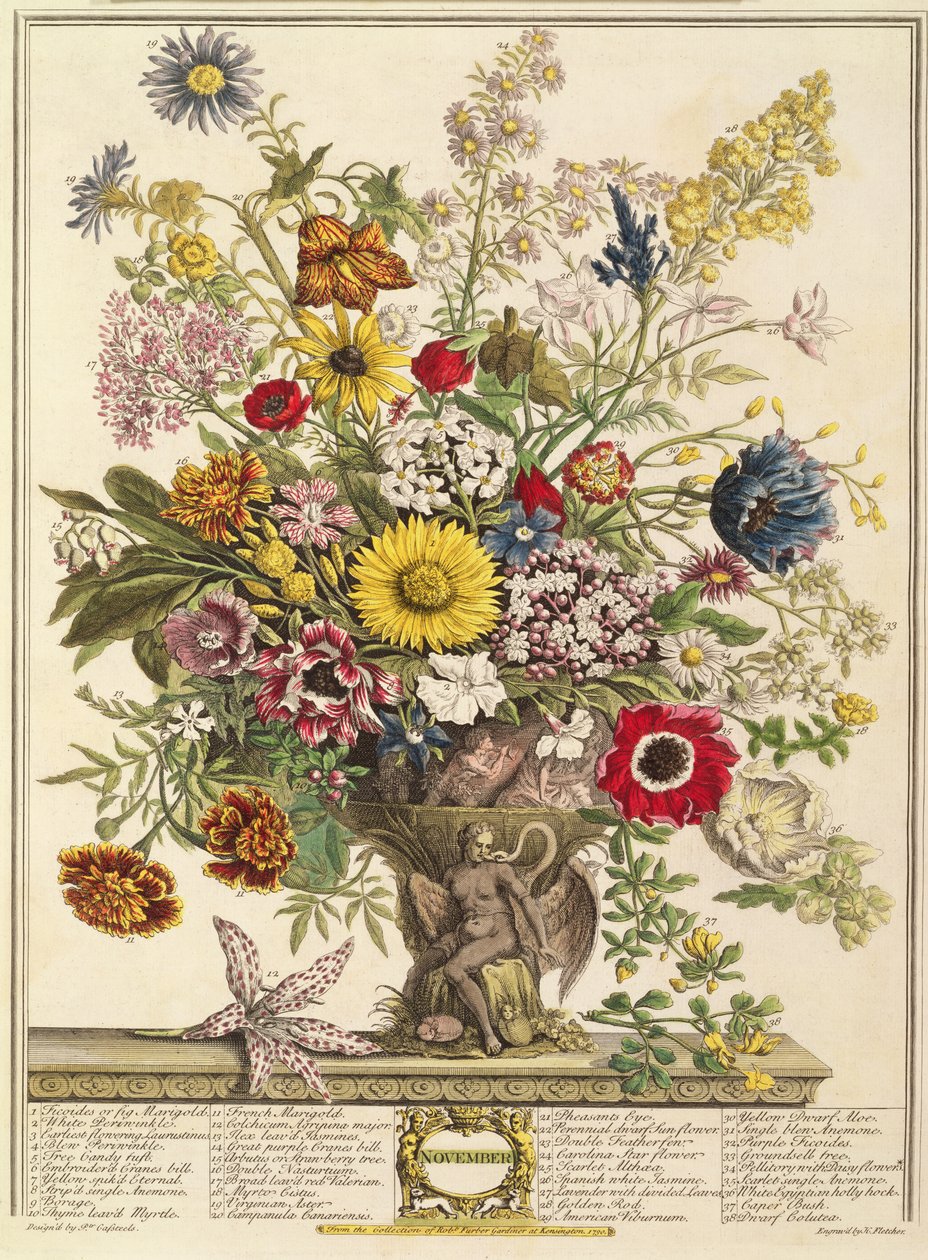 Kasım, Robert Furber