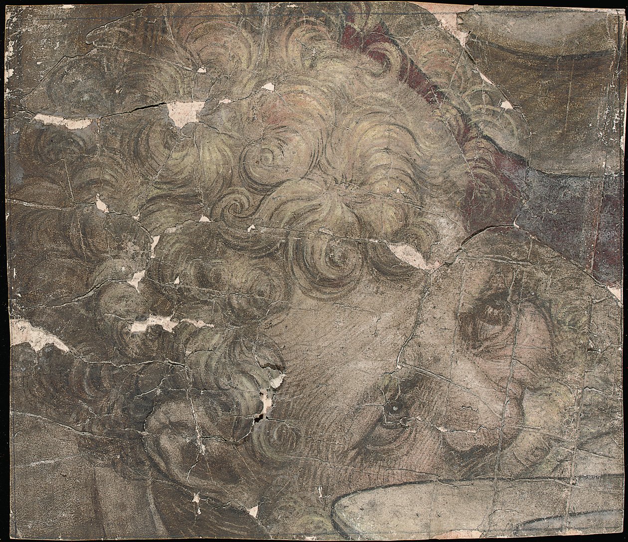 Yukarıya bakan sakallı bir adamın başı by Pieter Coecke van Aelst