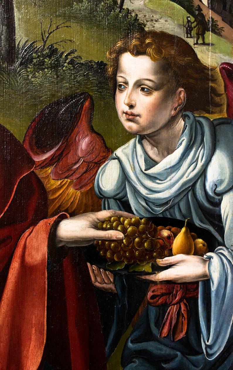  by Pieter Coecke van Aelst