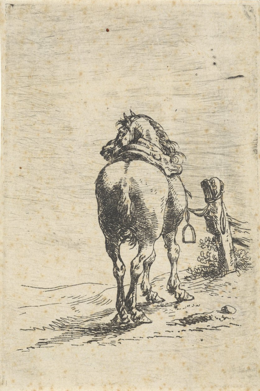 Bir direğe eyerli at by Pieter Cornelisz. Verbeeck