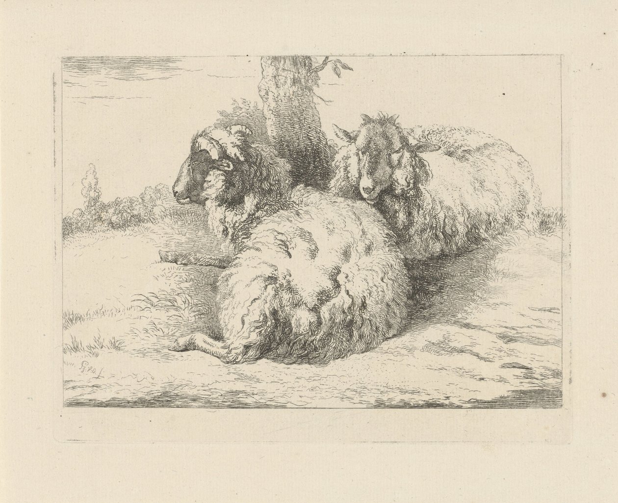 yalancı koyun Koyun ve keçiler (dizi adı) by Pieter Gerardus van Os