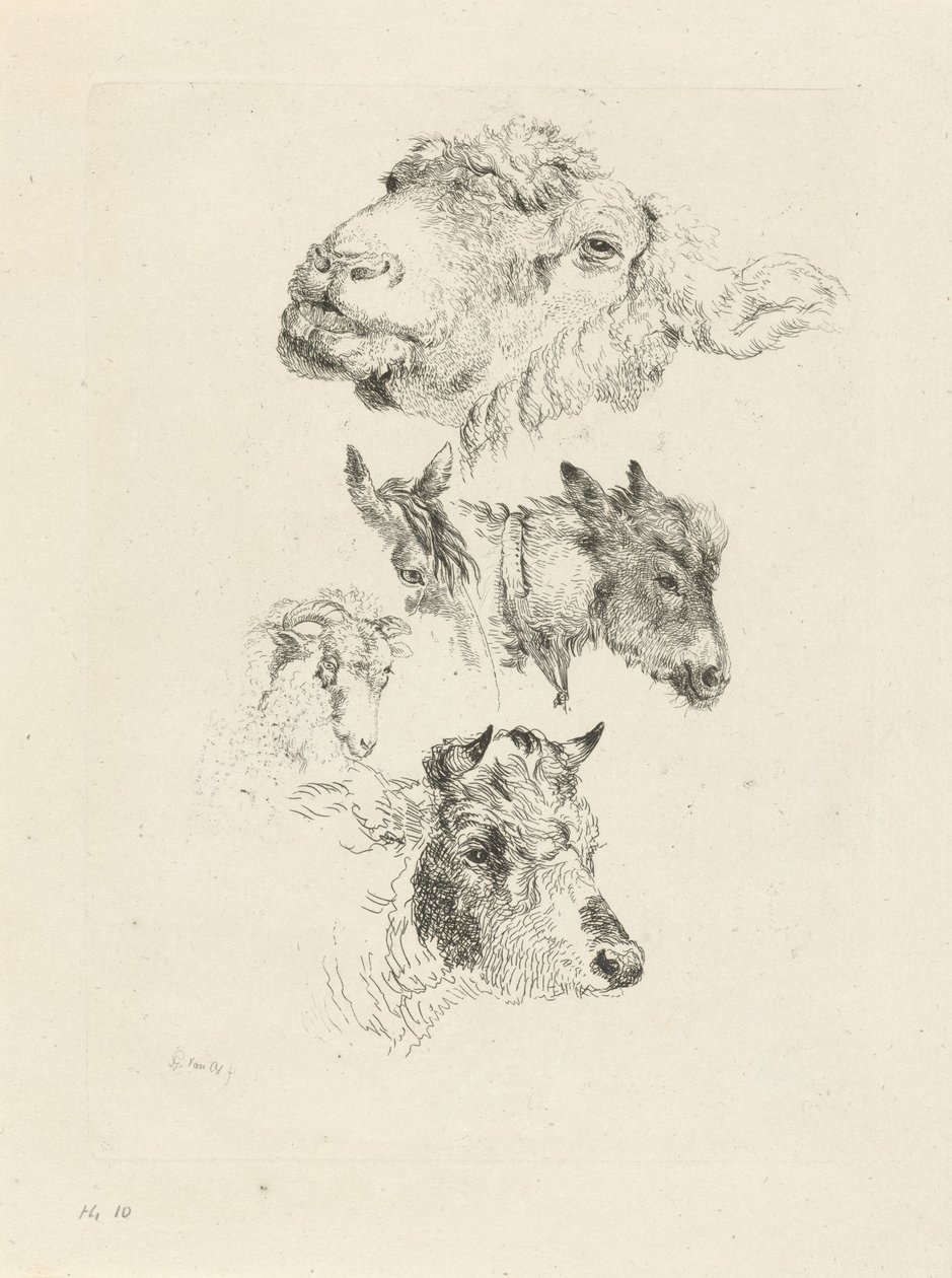 Koyun, at, eşek, koç ve boğa başlı çalışma sayfası by Pieter Gerardus van Os