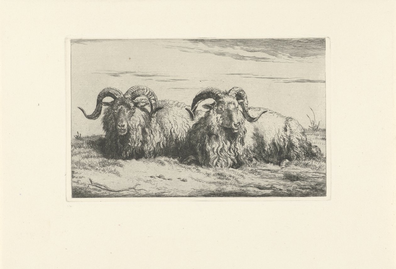İki yalancı koç Koyun ve keçiler (dizi adı) by Pieter Gerardus van Os