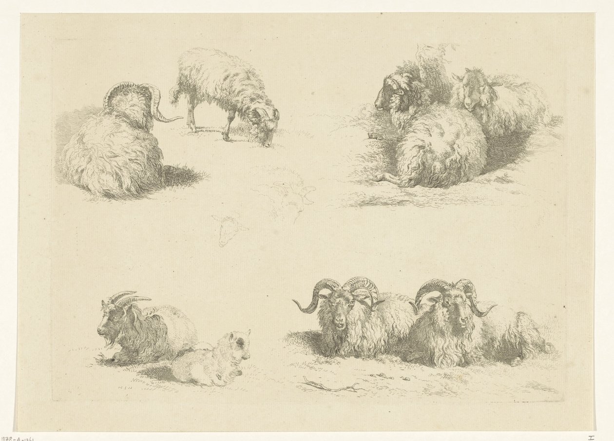 Koyun ve keçilerle dört performans Koyun ve keçiler (dizi adı) by Pieter Gerardus van Os
