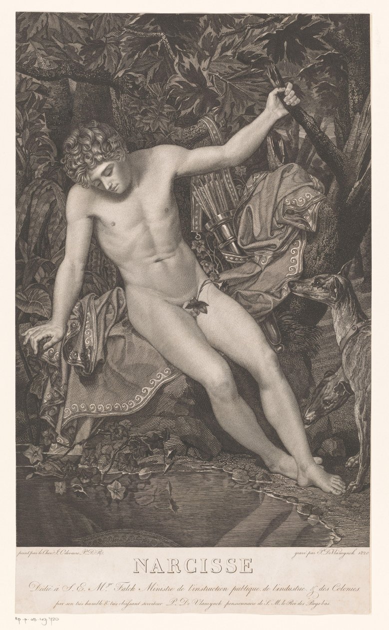 Nergis deniz kıyısında Narcissus (nesne üzerindeki başlık) by Pieter Jan de Vlamynck