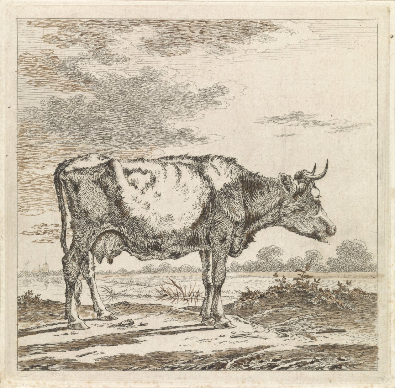 Sahilde bir inek ile manzara by Pieter Janson
