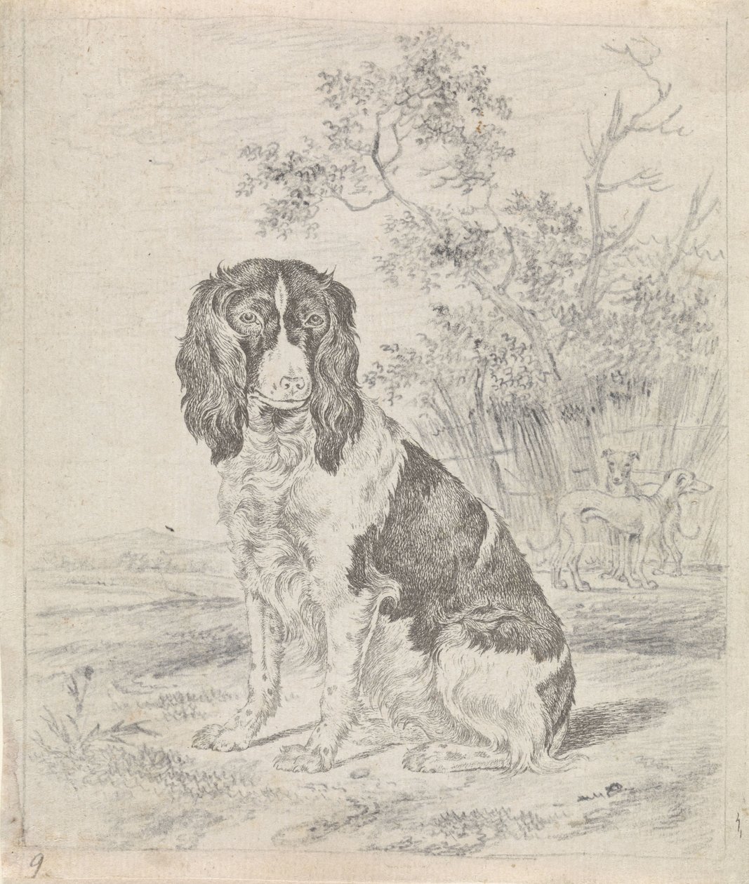 oturan keklik köpek by Pieter Janson