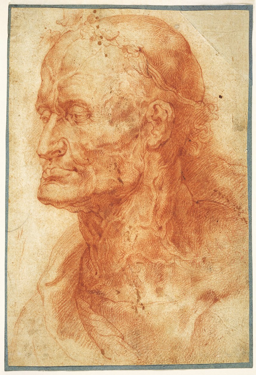 Yaşlı Bir Adamın Kafasının İncelenmesi, yaklaşık 1602. by Pieter Paul Rubens