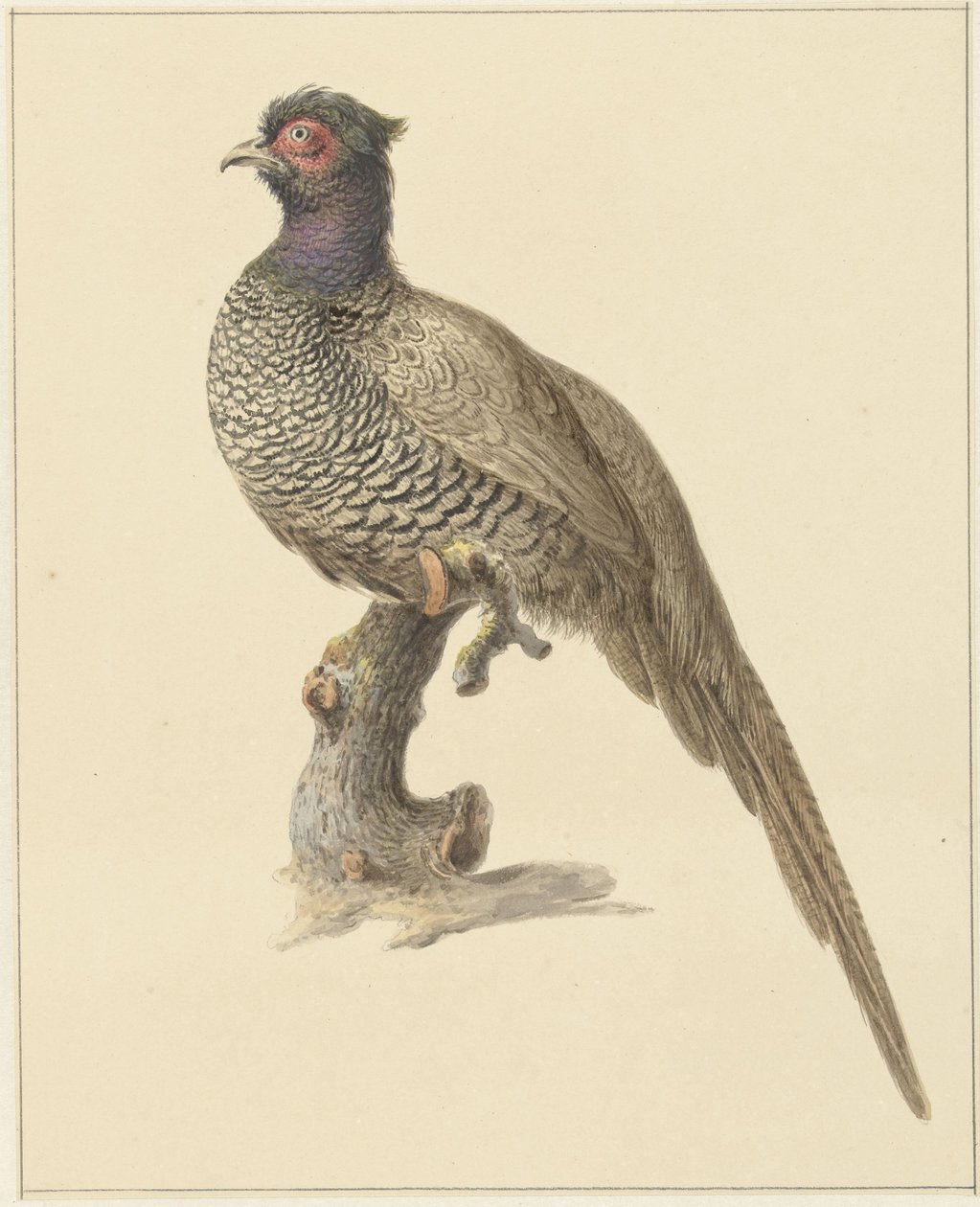 sülün avı by Pieter Pietersz. Barbiers